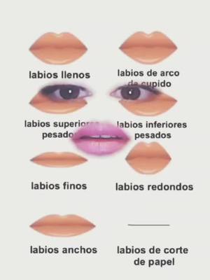 A post by @shinolitta_rguez on TikTok caption: Cual crees que sea tu tipo de #labio