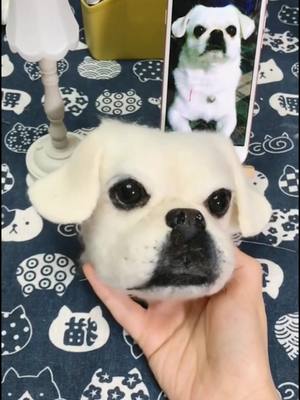 A post by @diydogcat on TikTok caption: #DIY #foryou #dog