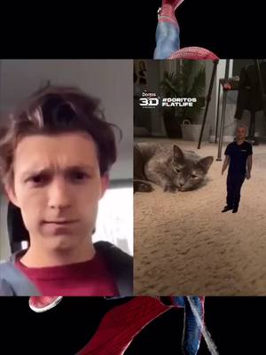 A post by @tomhollanddd1996 on TikTok caption: #fyp #foryou #tomholland #spiderman #doritosflatlife #3d #cat