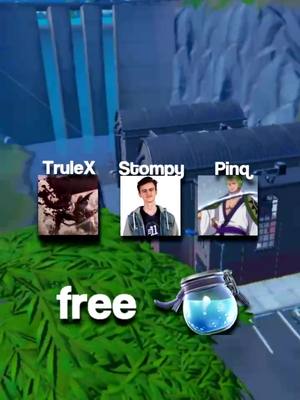 A post by @stompyfnbr on TikTok caption: Quick reminder before FNCS finals😈🦭 #fyp #fortnite #fnbr #fncompetitive #stompy #benjyfishy #fncs #foryou