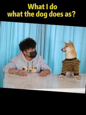 A post by @tealife6 on TikTok caption: what the dog does as?#funny #foryoupage #fyp #funngpets #pet #dog