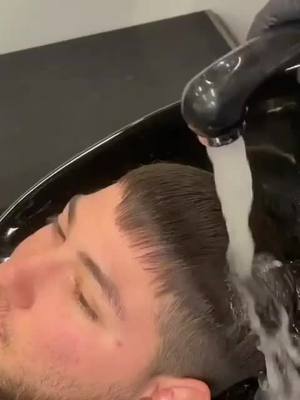 A post by @the_bartbershop on TikTok caption: #viral #the_bartbershop #foryou #barber #pov #fyp #pitbull