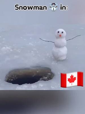 A post by @fightingspiritpeople on TikTok caption: ☃️ #snowman #funny #justforfun #fightingspirit #canada #usa #russia