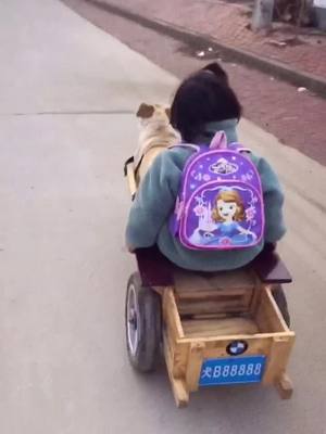 A post by @jamilaarthurvo51 on TikTok caption: #fyp #dog #happy  school car