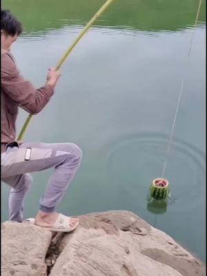 A post by @whatisthat888 on TikTok caption: #fish #fishing