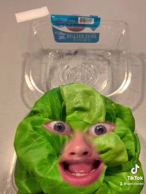 A post by @sam.the..man on TikTok caption: Lettuce wraps are so good 😤 #fyp #fy #foryou #foryoupage #lettuce  #wraps #cooking #greenscreen