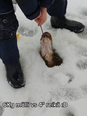 A post by @qzgu on TikTok caption: Vihdoin sitä kalavideoustia tänne:D #fishing #icefishing #pikefishing4life #bigpike #pikefishing # finland # fishinginfinland #pike