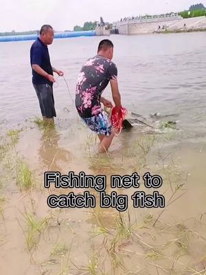 A post by @yogaaileen on TikTok caption: Big fishing scene!!!#foryou #fish #fyp