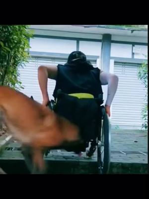 A post by @petshare on TikTok caption: #greenscreenvideo #EnvisionGreatness #PleaseDontGo #tiktoker #dog #doggy #dogsoftiktok #dogstory #pet #petlover