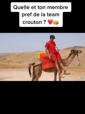 A post by @team_croutt on TikTok caption: #devinelapersonne