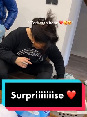 A post by @soxo5910 on TikTok caption: Surprise pour ma maman , un deuxième chien❤️ Je peux regarder cette vidéo en boucle 🥺❤️