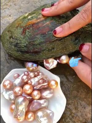 A post by @pearlgood2 on TikTok caption: do you think this pearl is beautiful? do you want to buy it?#pearl #gift #foryou #BiggerIsBetter #ShowerWithMoxie #EnvisionGreatness