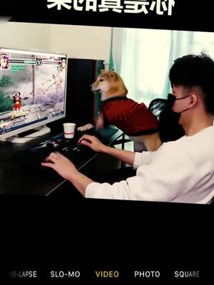 A post by @petdance2 on TikTok caption: Dogs playing games#dog