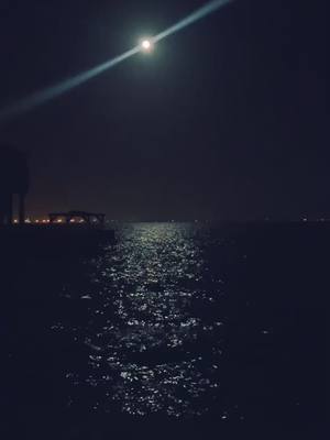 A post by @shouseparty on TikTok caption: View from the Banana River #Florida #Water #FlyMeToTheMoon #DontSweatIt