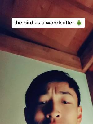 A post by @aydenlum on TikTok caption: the wood got smashed... but how?#bird #shuttlecock #fyp #badminton