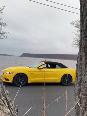 A post by @liz5.oh on TikTok caption: #carsoftiktok #mustanggt #fyp #mustang #ladydriven