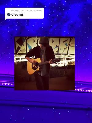 A post by @honkviolet on TikTok caption: Reply to @quack...kity #greenscreensticker