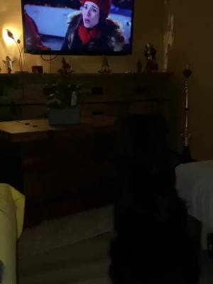 A post by @_la_familia_ on TikTok caption: Kinoabend in der ersten Reihe🥴😁 #dog #fy #viral #funny #kino #imfilm #gibtessowas