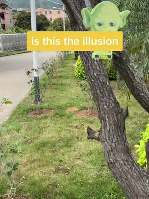 A post by @funfunclu_b on TikTok caption: what is going on with Yoda#GetCrocd #funny #GoForTheHandful #fun #magic #illusion #foryou #foryoupage #fyp