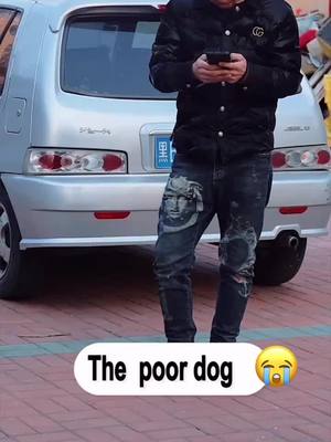 A post by @ofirghnq357 on TikTok caption: The poor dog#dog#pet#for you