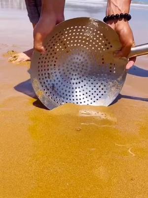 A post by @serr.fran on TikTok caption: #fyp #foryou #sea #fish #fishing #beachcomb