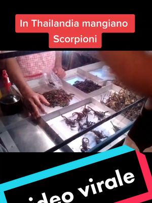 A post by @viaggiatorineltempo on TikTok caption: Uno spuntino in #thailandia #thai #thailand #scorpio