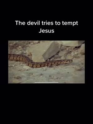 A post by @jesusisgood456 on TikTok caption: #fyp #christ #jesus #makejesusviral #devilisbad #god