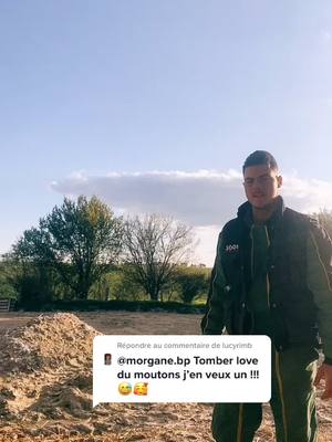 A post by @antoine157 on TikTok caption: Répondre à @lucyrimb  le voilà le petit bébé 🥰 #farmer #trend #mouton