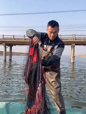 A post by @fishfunny97 on TikTok caption: #fish #fishing #fishnet #fyp