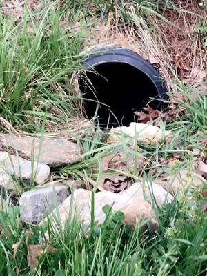 A post by @olliescorsgstagram on TikTok caption: Hello I found a secret hiding spot!!!!! #fyp #ItsOurHome #corgi