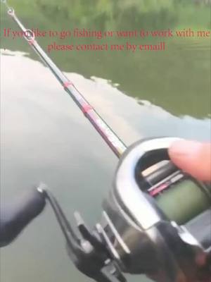 A post by @love_fishing_tony on TikTok caption: #fishinggear#fishingrod#angling#seafishing#fishing#favoritememories#minivlog