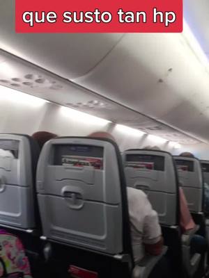 A post by @marthaceciliaurib on TikTok caption: #avion #americanairlines #americanair #aa