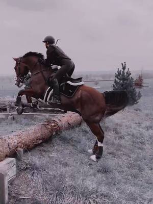 A post by @sandy_xc on TikTok caption: Geländetraining 🤍🖤 was habt ihr so gemacht? #foryou #equestrian #horse #jumping #powerAwesome #xc #fypシ