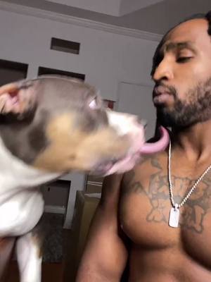 A post by @mrmovi3 on TikTok caption: Honesty Bella don’t play about her kisses!! Lol #dogdaddy