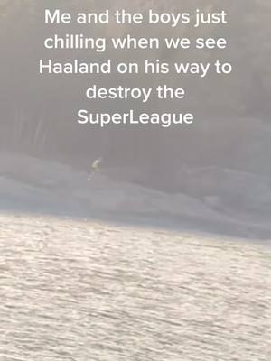 A post by @swedishdrinkers on TikTok caption: Created by the poor n stolen by the rich #haaland #superleague #fyp #govegan #swedishdrinkers