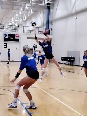 A post by @volleyverse on TikTok caption: Amazing 😮👌🏐 @texasadvantage  #setter #volleyball #volei #voleybol #sports  #siatkowka #pallavolo #volley