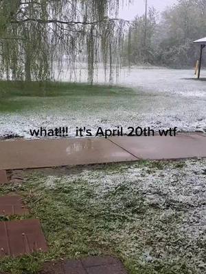 A post by @frazierk21 on TikTok caption: #snowflakes  #april20th #wtf