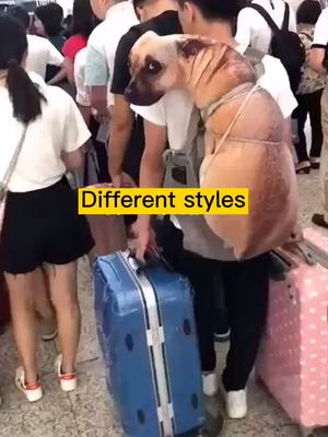 A post by @jilleer on TikTok caption: Your haven’t seen this travel bag 🧳 #hahaha