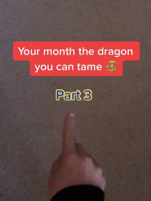 A post by @your.month.your.thing27 on TikTok caption: Which dragon? #fyp #dragons #viral #makemefamous #xyzbca #months #follow #100k #part2 #foryou #foryoupage #trending #video