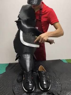 A post by @dakuvihhfzz on TikTok caption: #crocodile #shows #foryou #fyp #tiktok