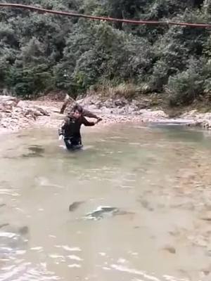 A post by @fishfunny97 on TikTok caption: #fish #fishing #fisherman #Destinationdepop This  man is a stupid