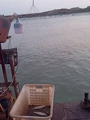 A post by @fishfunny97 on TikTok caption: #fishing #fishnet #fy #foryou Today haven’t fish