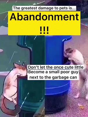 A post by @cutepets1212 on TikTok caption: Don’t do this,please🙏🏻🙏🏻🙏🏻#fyp #pet #petlovers #resue