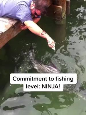 A post by @busy.fisher on TikTok caption: Could you manhandle a tarpon? #fishing #tarpon