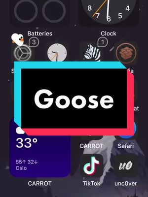 A post by @acrxhd on TikTok caption: #iphone #tech #techtok #pet #goose #ios #android #linux #nft #mobilegoose #cydia #unc0ver #art #aesthetic