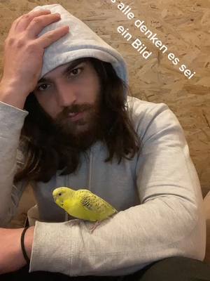 A post by @_rdem_ on TikTok caption: Speedy hat es fast geschafft #speedy #fy #fyp #viral #foryoupage #viral_video #animal #bird #wellensittich