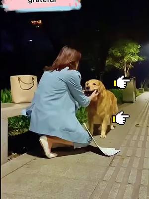 A post by @z6dog on TikTok caption: Know how to be grateful #foryou  #tiktokdog #dogg #story #doggy