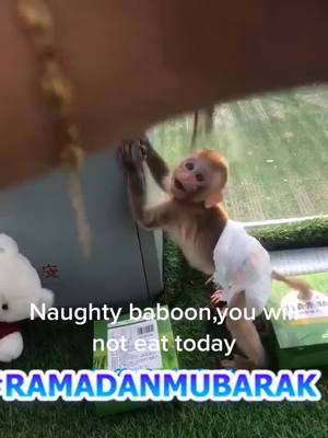 A post by @zksjb3 on TikTok caption: Naughty baboon,you will not eat today#ShadowAndBone #SkipTheRinse #BusyThinkingAbout #Destinationdepop #peterpan #peterpan