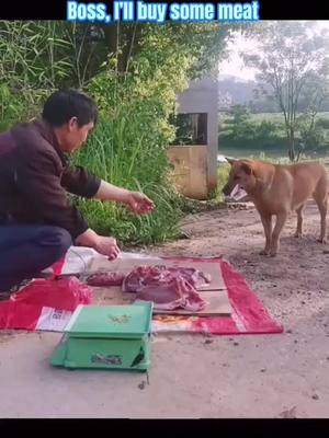 A post by @interestingsoul6 on TikTok caption: The son bought meat for his mother #fyp #foryourpage #fy #foryou #dog #cute