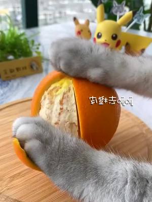 A post by @sammi1116 on TikTok caption: This is the really cat café ,welcome to order , are you ready to dry to the minnows?#petfood #cat cafe#coffee #pet #funny